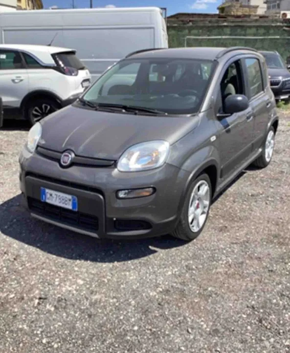 FIAT PANDA 1.0 FireFly 70cv S&S City Life  ibrida Offerta