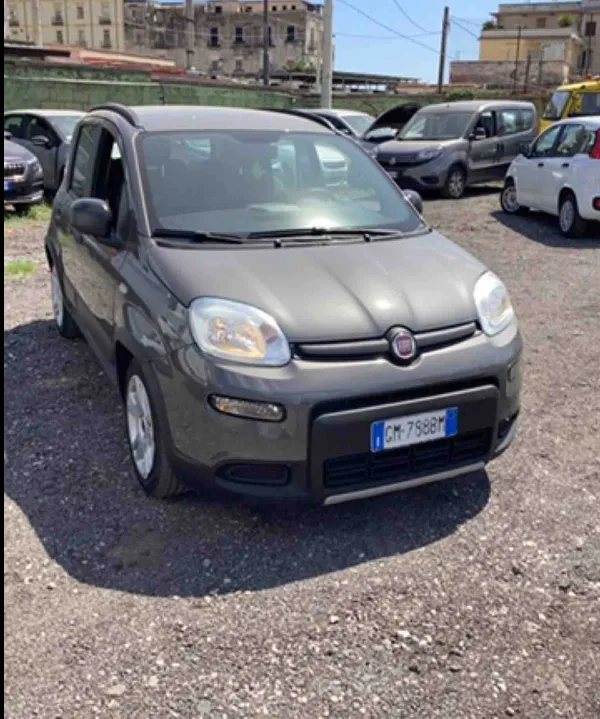 FIAT PANDA 1.0 FireFly 70cv S&S City Life  ibrida Offerta
