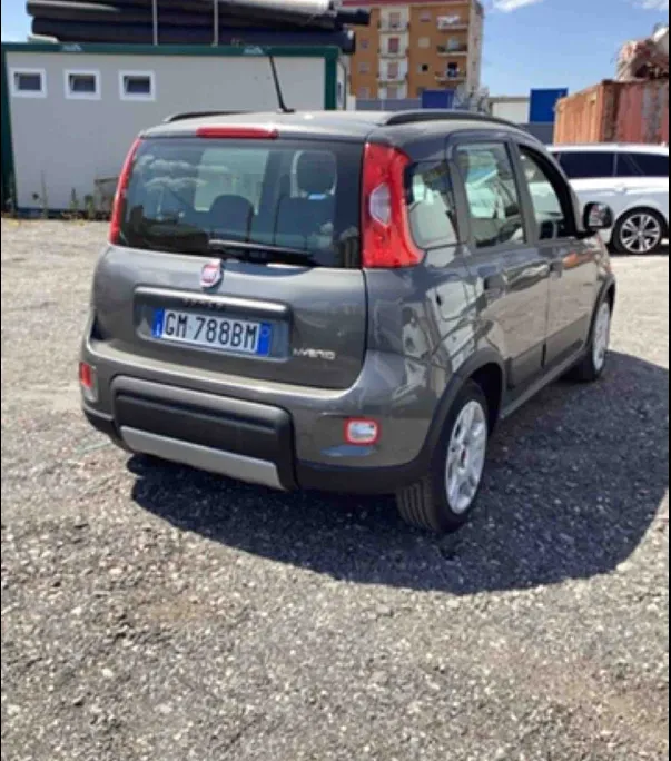 FIAT PANDA 1.0 FireFly 70cv S&S City Life  ibrida Offerta