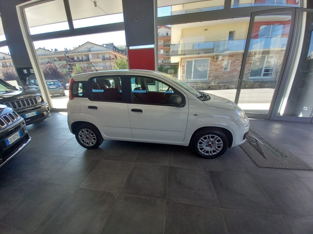 FIAT PANDA  5P  BERLINA 1.2 69CV E6 EASY