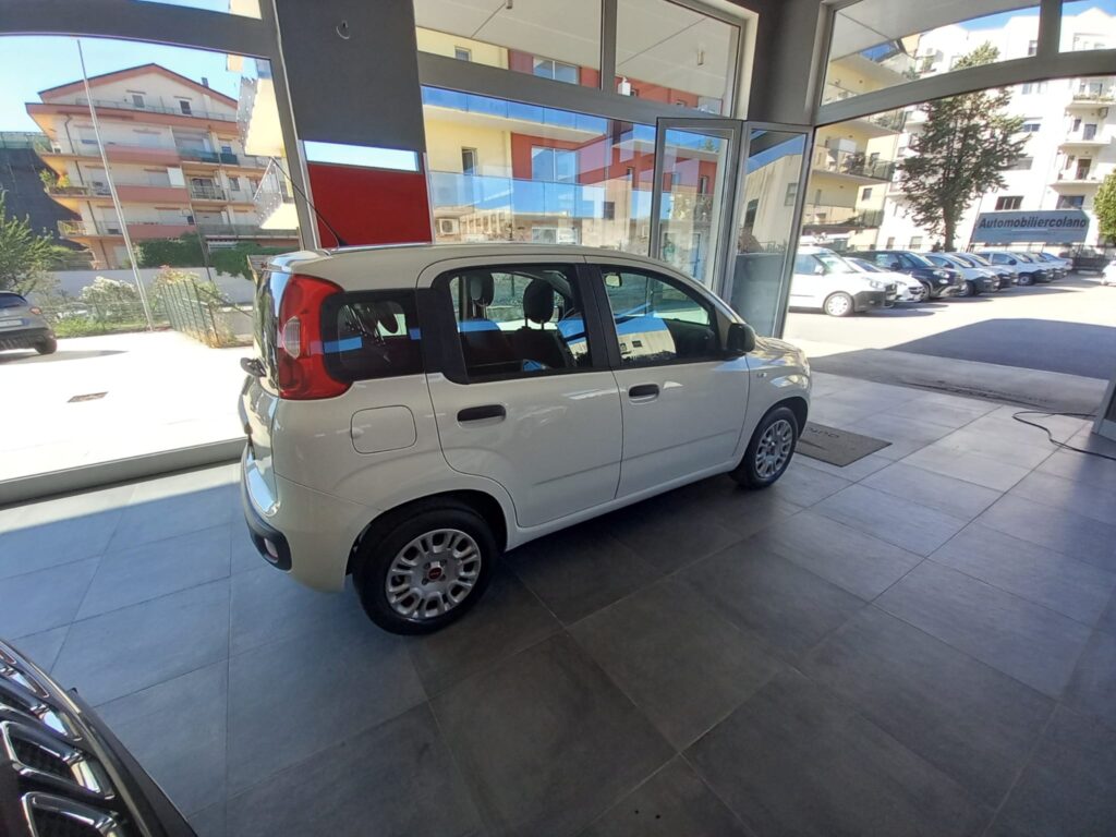 FIAT PANDA  5P  BERLINA 1.2 69CV E6 EASY