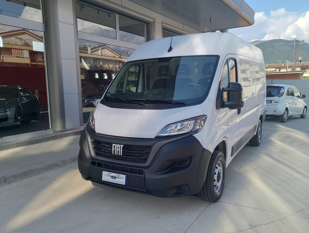 Fiat Ducato 2.2 Mjt 120cv PM-TN Furgone (New Model)