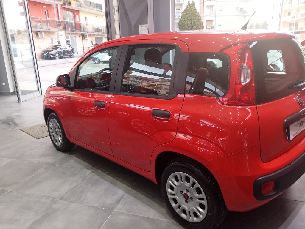 FIAT Panda 3ª serie Panda 1.2 Easy