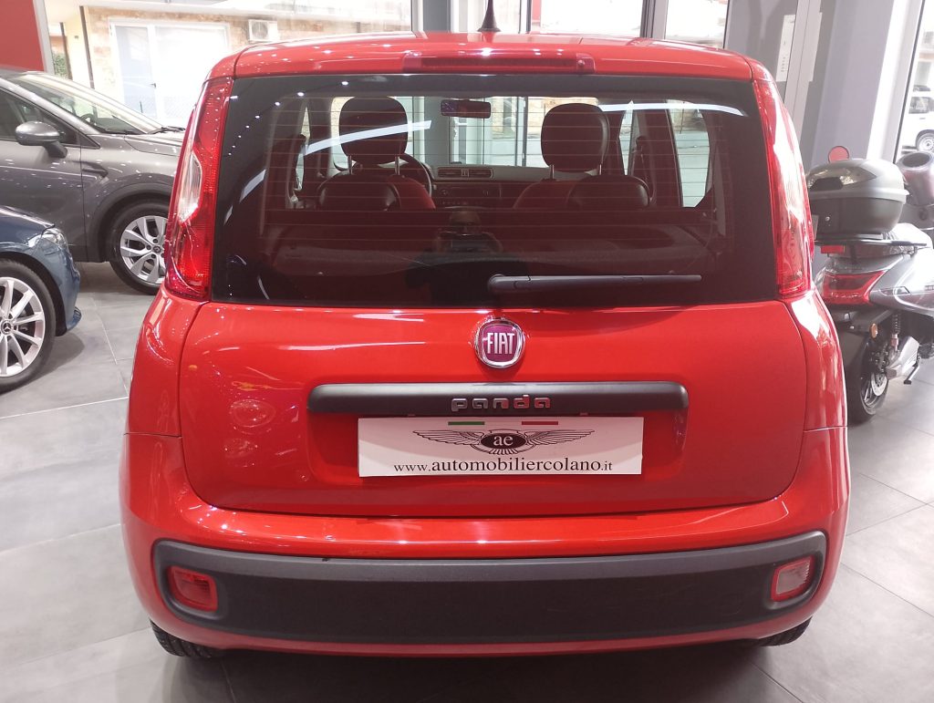FIAT Panda 3ª serie Panda 1.2 Easy