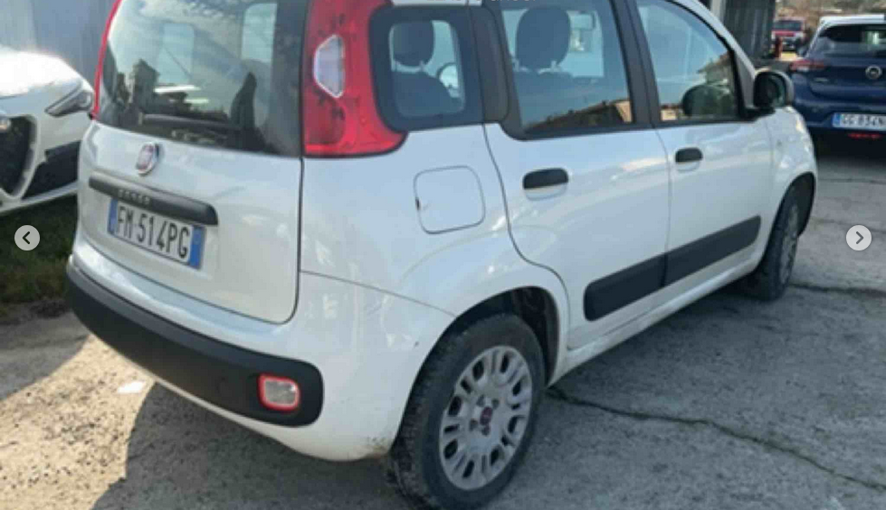 FIAT Panda 3ª serie Panda 1.2 Easy 5 POSTI