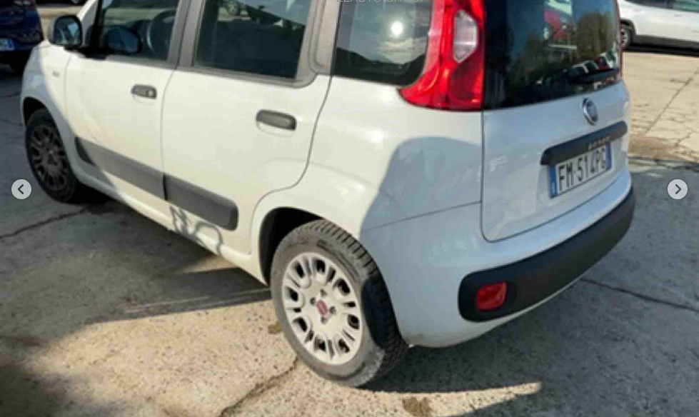 FIAT Panda 3ª serie Panda 1.2 Easy 5 POSTI