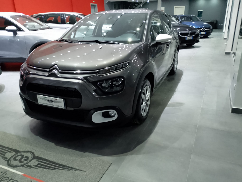 CITROEN C3 BlueHDi 100 S&S YOU