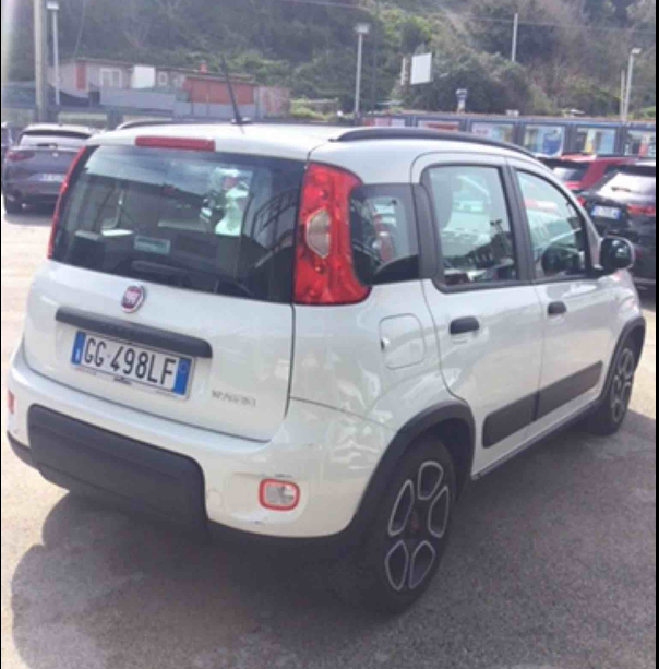FIAT PANDA 1.0 FireFly 70cv S&S Hybrid City Life